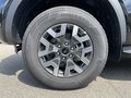 Daumennagel 9 - Ford Ranger DoKa 2.3 EcoBoost PHEV Aut. 4x4 Wildtrak