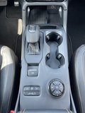 Daumennagel 18 - Ford Ranger DoKa 2.3 EcoBoost PHEV Aut. 4x4 Wildtrak