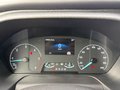 Daumennagel 16 - Ford Tourneo Custom 320 L1 2.0 TDCi Active AHK/ACC/SH