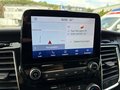 Daumennagel 17 - Ford Tourneo Custom 320 L1 2.0 TDCi Active AHK/ACC/SH