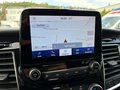 Daumennagel 19 - Ford Tourneo Custom 320 L1 2.0 TDCi Active AHK/ACC/SH