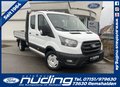 Daumennagel 1 - Ford Transit Pritsche 350 L3 Doppelkabine Trend
