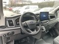 Daumennagel 10 - Ford Transit Pritsche 350 L3 Doppelkabine Trend