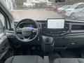 Daumennagel 13 - Ford Transit Pritsche 350 L3 Doppelkabine Trend