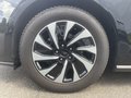 Daumennagel 10 - Ford Focus Turnier 1.0 EcoBoost Hybrid Aut. Titanium Edition