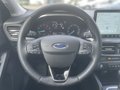Daumennagel 15 - Ford Focus Turnier 1.0 EcoBoost Hybrid Aut. Titanium Edition