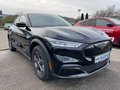 Daumennagel 4 - Ford Mustang Mach-E RWD Standard Range 75,7kWh