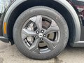 Daumennagel 11 - Ford Mustang Mach-E RWD Standard Range 75,7kWh