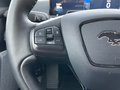 Daumennagel 24 - Ford Mustang Mach-E RWD Standard Range 75,7kWh