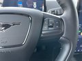 Daumennagel 25 - Ford Mustang Mach-E RWD Standard Range 75,7kWh