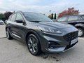 Daumennagel 4 - Ford Kuga 1.5 EcoBoost ST-Line ACC/Navi/RFK/BLIS