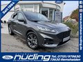 Daumennagel 1 - Ford Kuga 1.5 EcoBoost ST-Line ACC/Navi/RFK/BLIS