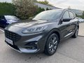 Daumennagel 2 - Ford Kuga 1.5 EcoBoost ST-Line ACC/Navi/RFK/BLIS