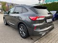 Daumennagel 10 - Ford Kuga 1.5 EcoBoost ST-Line ACC/Navi/RFK/BLIS