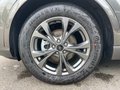 Daumennagel 11 - Ford Kuga 1.5 EcoBoost ST-Line ACC/Navi/RFK/BLIS