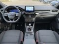 Daumennagel 15 - Ford Kuga 1.5 EcoBoost ST-Line ACC/Navi/RFK/BLIS