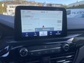 Daumennagel 18 - Ford Kuga 1.5 EcoBoost ST-Line ACC/LED/RFK/HUD