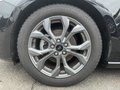 Daumennagel 9 - Ford Focus Turnier 1.0 EcoBoost Hybrid Aut. ST-Line X