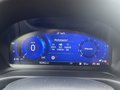 Daumennagel 18 - Ford Puma 1.0 EcoBoost ST-Line ACC/Navi/RFK
