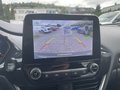 Daumennagel 21 - Ford Puma 1.0 EcoBoost ST-Line ACC/Navi/RFK