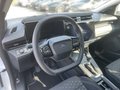 Daumennagel 13 - Ford Puma 1.0 EcoBoost Hybrid Titanium ACC/RFK/LED