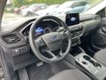 Daumennagel 12 - Ford Kuga 2.5 Duratec PHEV Titanium ACC/RFK/Navi