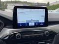 Daumennagel 20 - Ford Kuga 2.5 Duratec PHEV Titanium ACC/RFK/Navi