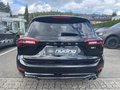 Daumennagel 6 - Ford Focus Turnier 1.0 EcoBoost Hybrid ST-Line X