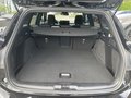Daumennagel 7 - Ford Focus Turnier 1.0 EcoBoost Hybrid ST-Line X