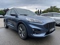 Daumennagel 4 - Ford Kuga 1.5 EcoBoost ST-Line ACC/LED/RFK/BLIS