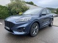Daumennagel 2 - Ford Kuga 1.5 EcoBoost ST-Line ACC/LED/RFK/BLIS