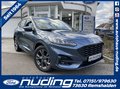 Daumennagel 1 - Ford Kuga 1.5 EcoBoost ST-Line ACC/LED/RFK/BLIS