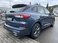 Daumennagel 6 - Ford Kuga 1.5 EcoBoost ST-Line ACC/LED/RFK/BLIS