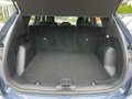 Daumennagel 8 - Ford Kuga 1.5 EcoBoost ST-Line ACC/LED/RFK/BLIS