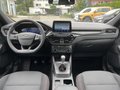 Daumennagel 14 - Ford Kuga 1.5 EcoBoost ST-Line ACC/LED/RFK/BLIS