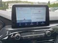 Daumennagel 17 - Ford Kuga 1.5 EcoBoost ST-Line ACC/LED/RFK/BLIS