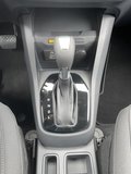 Daumennagel 18 - Ford Tourneo Courier 1.0 EcoBoost Aut. Trend