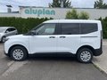 Daumennagel 9 - Ford Tourneo Courier 1.0 EcoBoost Aut. Trend
