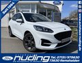 Daumennagel 1 - Ford Kuga 2.5 Duratec PHEV ST-Line X ACC/BLIS/HUD