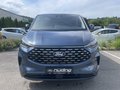 Daumennagel 3 - Ford Tourneo Custom 320 L1 2.0 EcoBlue Aut. Titanium