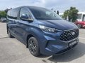 Daumennagel 4 - Ford Tourneo Custom 320 L1 2.0 EcoBlue Aut. Titanium