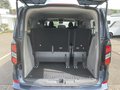 Daumennagel 8 - Ford Tourneo Custom 320 L1 2.0 EcoBlue Aut. Titanium
