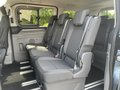 Daumennagel 14 - Ford Tourneo Custom 320 L1 2.0 EcoBlue Aut. Titanium