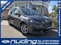 Daumennagel 1 - Ford Galaxy 2.5 Duratec FHEV CVT Titanium ACC/LED/BLIS