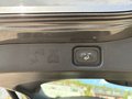 Daumennagel 8 - Ford Galaxy 2.5 Duratec FHEV CVT Titanium ACC/LED/BLIS