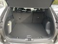 Daumennagel 7 - Ford Kuga 2.5 Duratec Full-Hybrid CVT 4x4 ST-Line X
