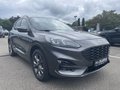 Daumennagel 4 - Ford Kuga 2.5 Duratec PHEV ST-Line X ACC/RFK/LED