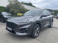 Daumennagel 2 - Ford Kuga 2.5 Duratec PHEV ST-Line X ACC/RFK/LED