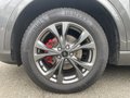 Daumennagel 12 - Ford Kuga 2.5 Duratec PHEV ST-Line X ACC/RFK/LED