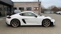 Daumennagel 7 - Porsche 718 Cayman GT4 RS, Weissach, Clubsport, Keramik, Lift